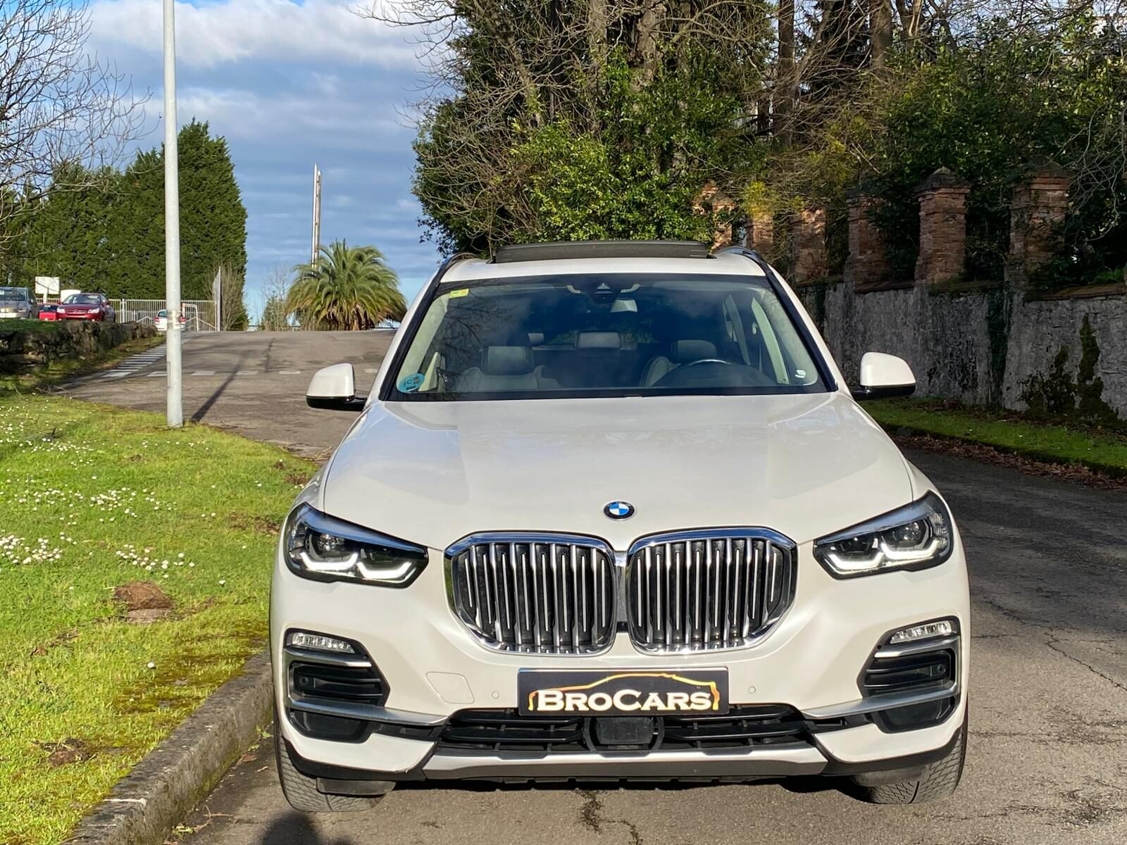 BMW X5 30d Xdrive Xline