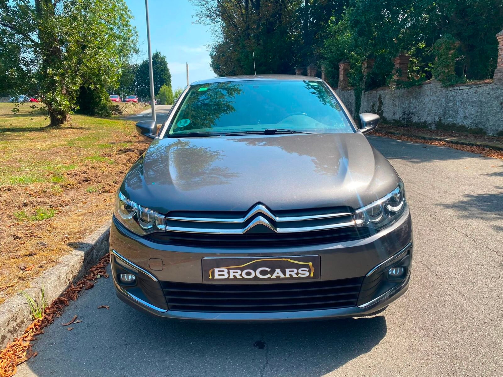 CITROEN C-ELYSEE 100 Bluehdi SHINE