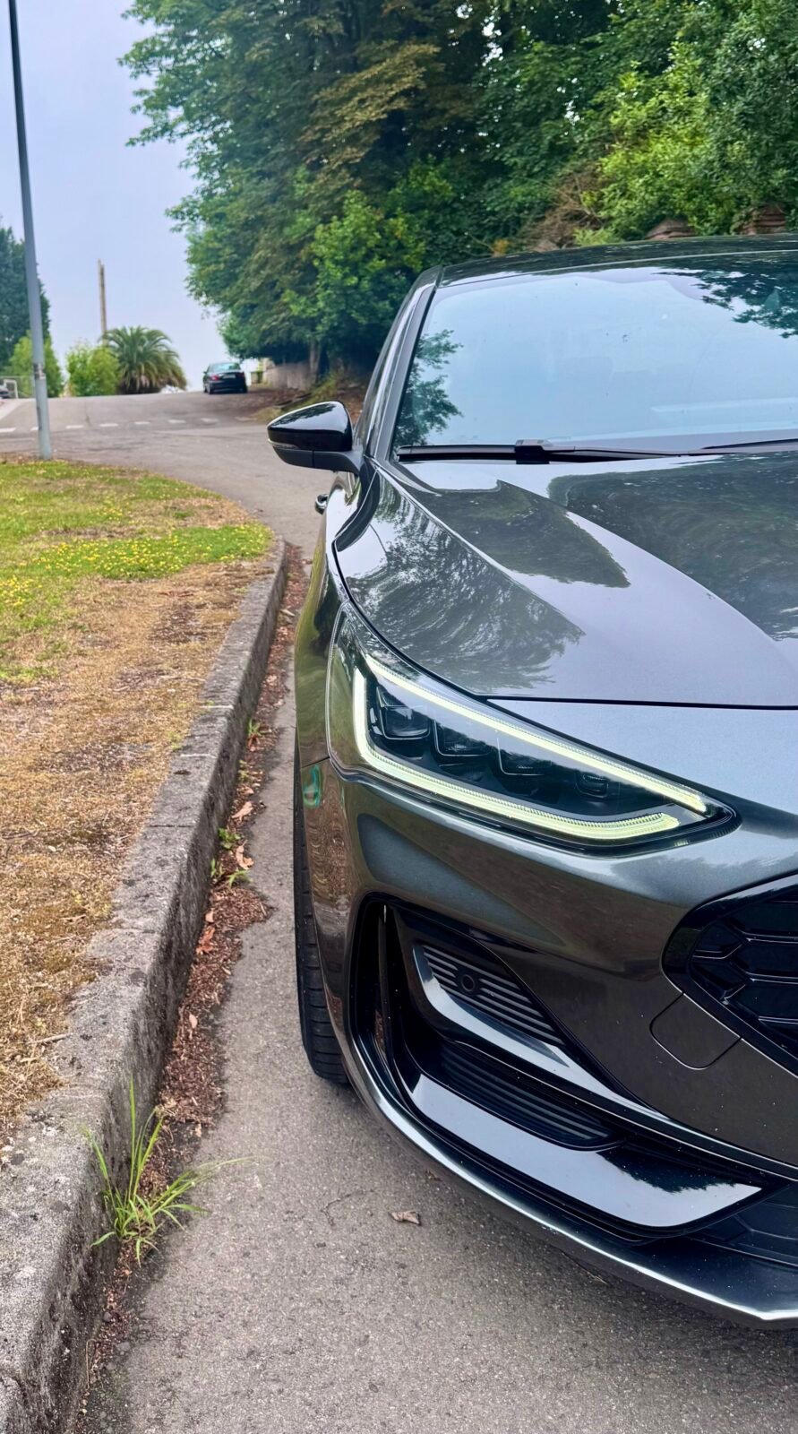 FORD Focus ST 2.0 Ecoboost Performance